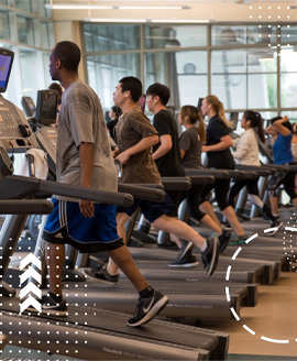 people running on treadmills